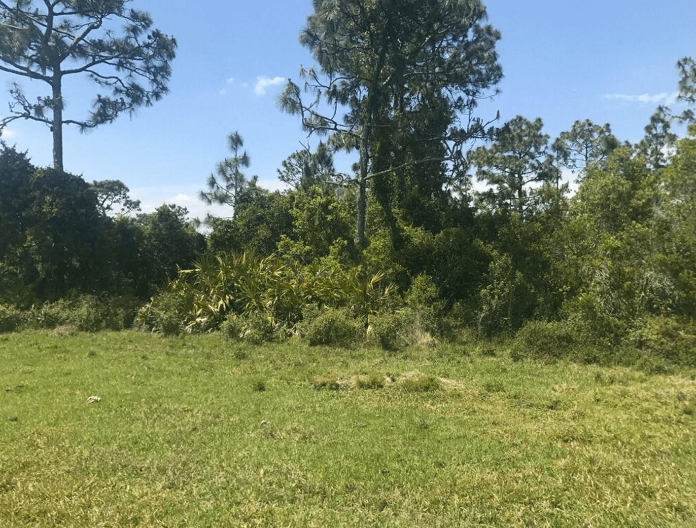 En Venta 0 Holopaw Groves Road, St. Cloud, FL 34772, St. Cloud, FL 34772