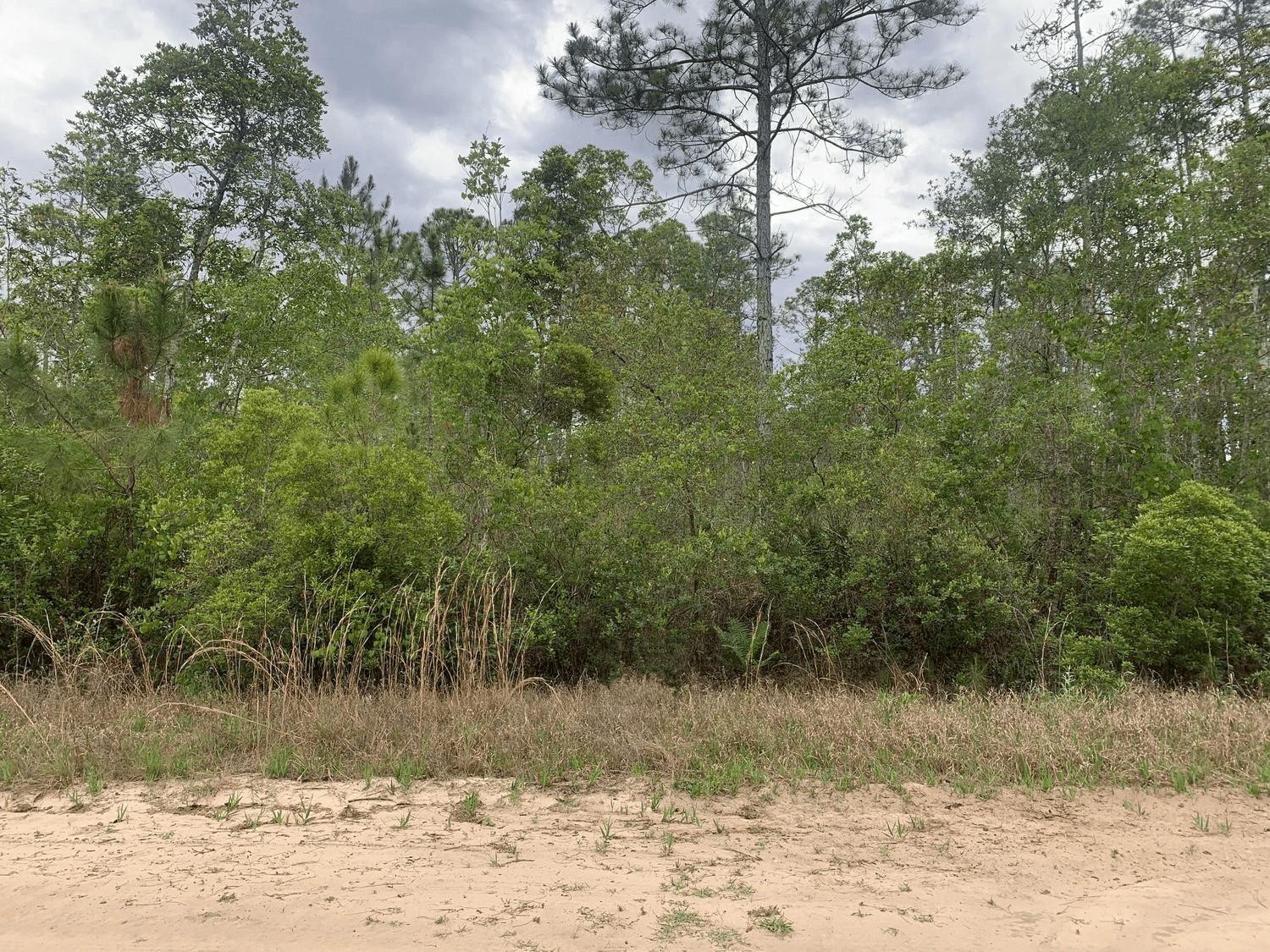 Foto de propiedad en 0 W Basford Street, Interlachen, FL 32148 Interlachen con MLS# 