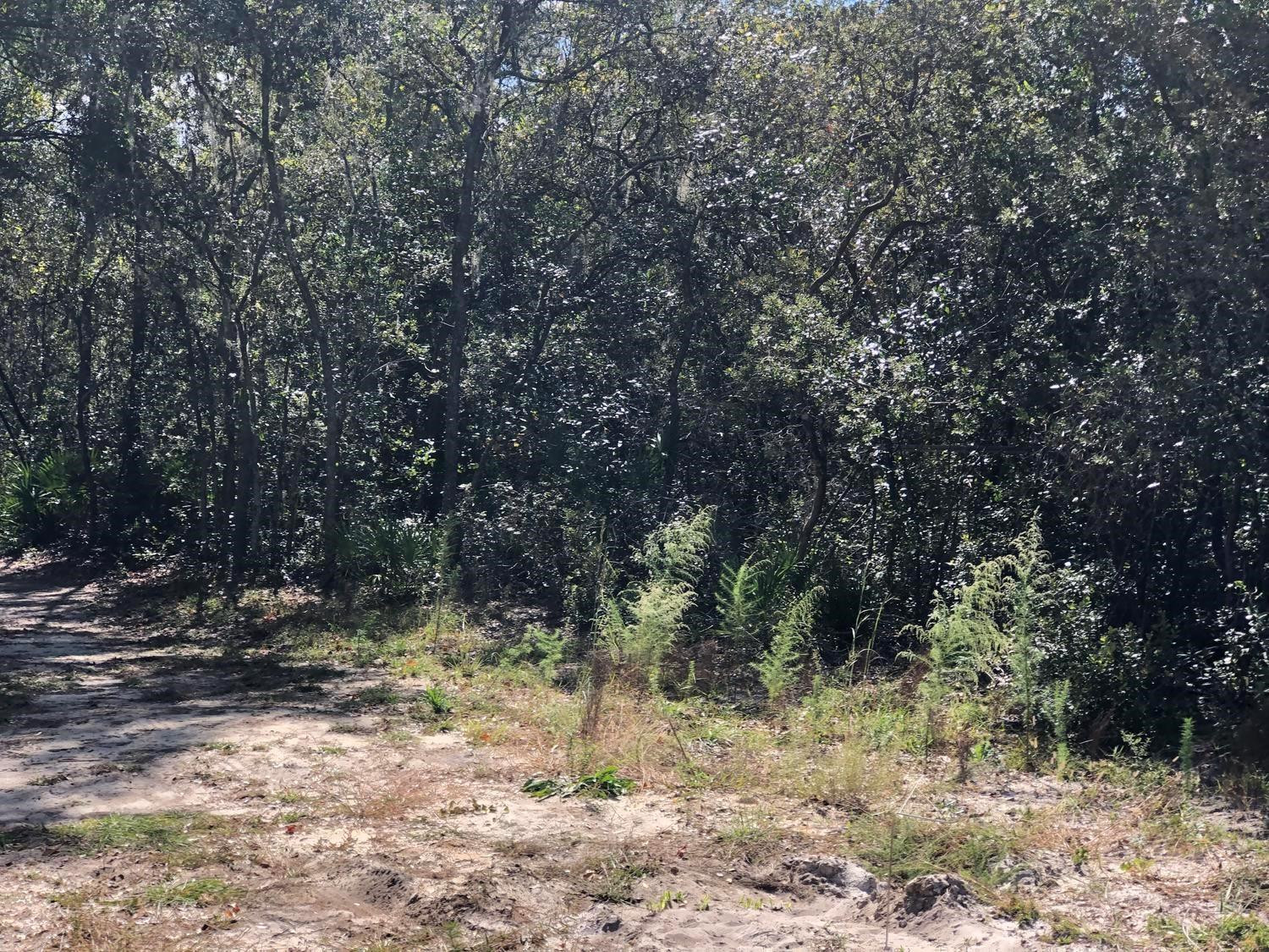 En Venta 0 Oregon Street, Interlachen, FL 32148, Interlachen, FL 32148