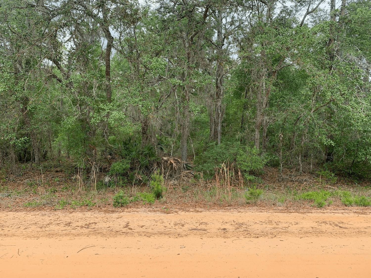 Foto de propiedad en 0 David Avenue, Interlachen, FL 32148 Interlachen con MLS# 