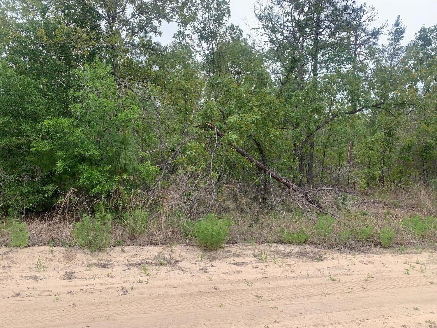 Foto de propiedad en 0 May Lane, Interlachen, FL 32148 Interlachen con MLS# 