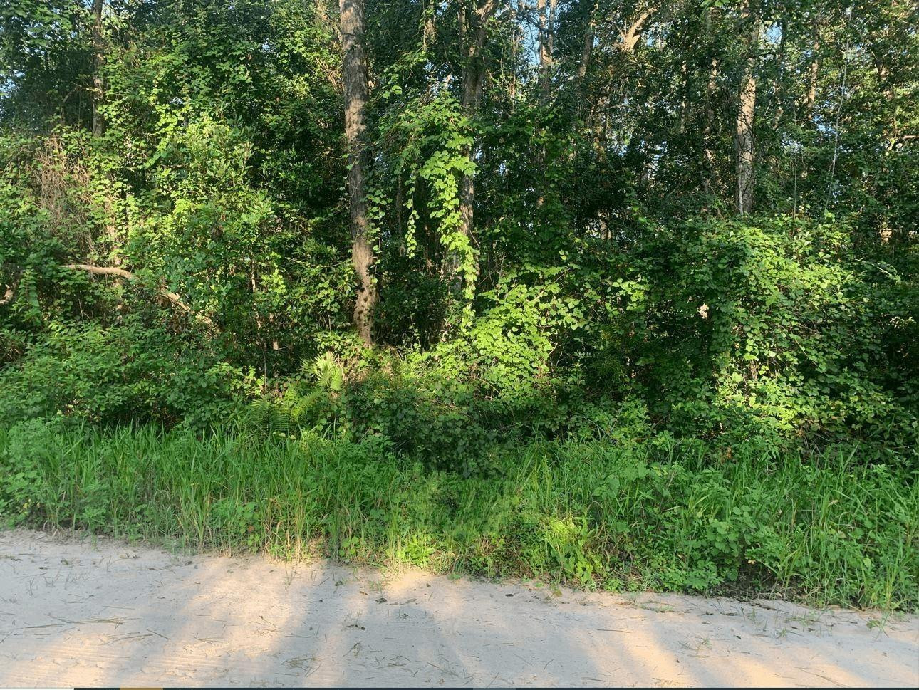 Foto de propiedad en 0 Ida Boulevard, Interlachen, FL 32148 Interlachen con MLS# 