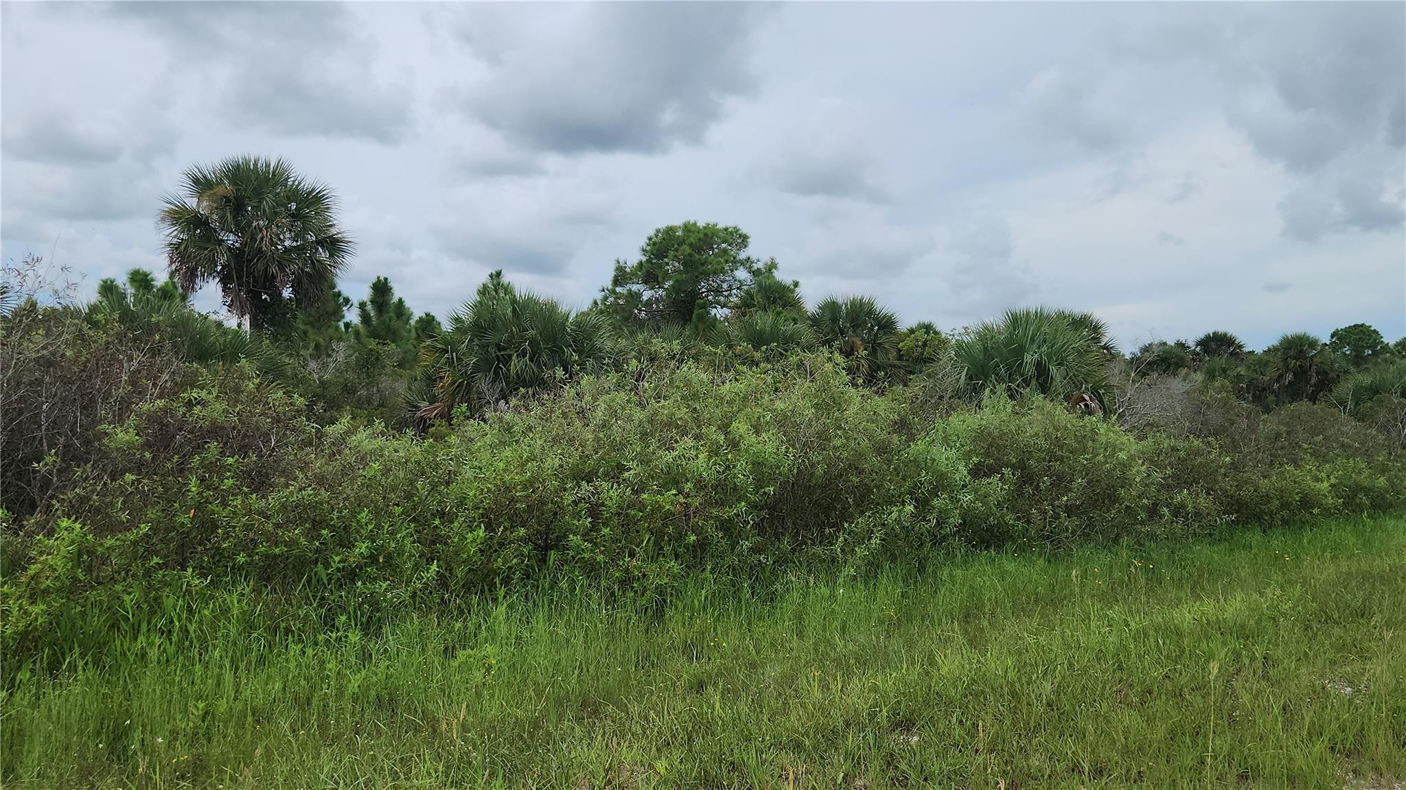 En Venta 14988 NW 316th Street, Okeechobee, FL 34972, Okeechobee, FL 34972