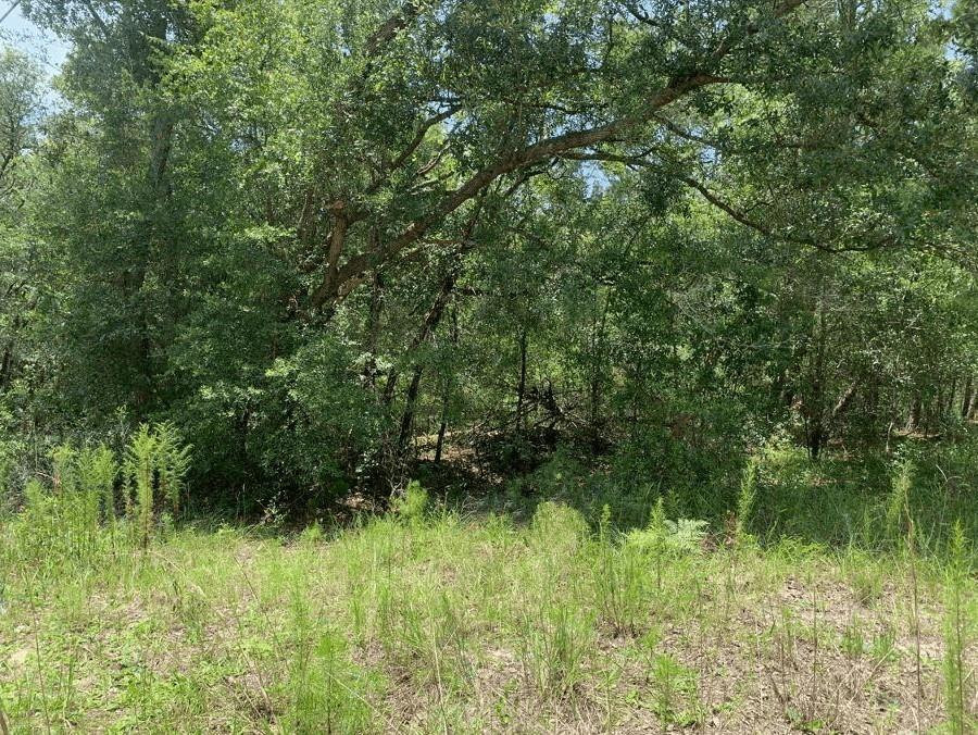 En Venta 0 Oklahoma Avenue, Satsuma, FL 32189, Satsuma, FL 32189