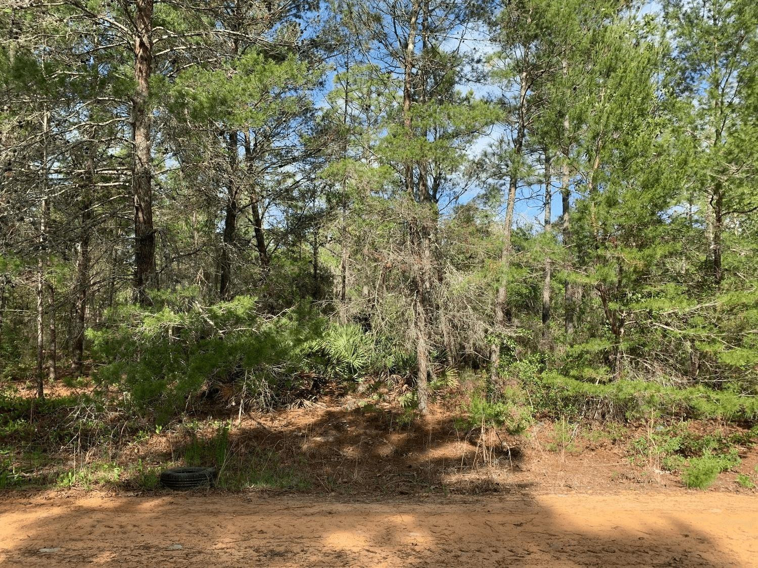 Foto de propiedad en 0 Louise Avenue, Interlachen, FL 32148 Interlachen con MLS# 