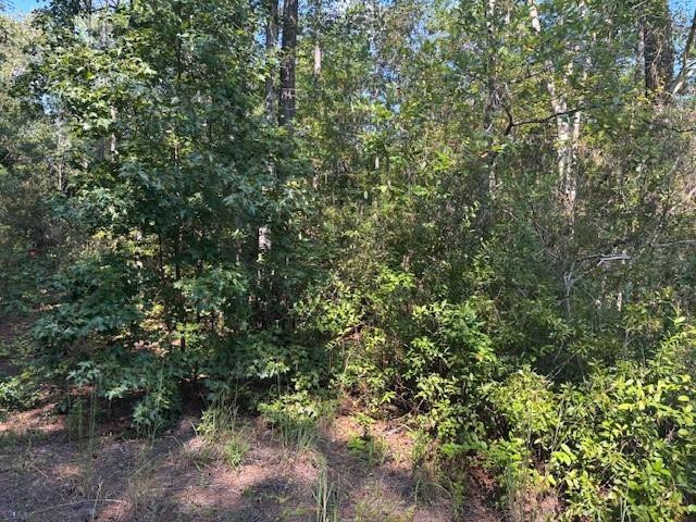 En Venta 0 SE 8th Avenue, Palatka, FL 32177, Palatka, FL 32177
