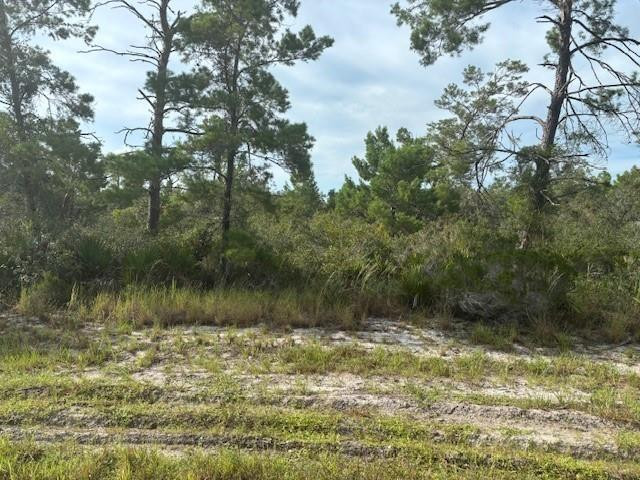 En Venta 0 Cypress Street, Interlachen, FL 32148, Interlachen, FL 32148