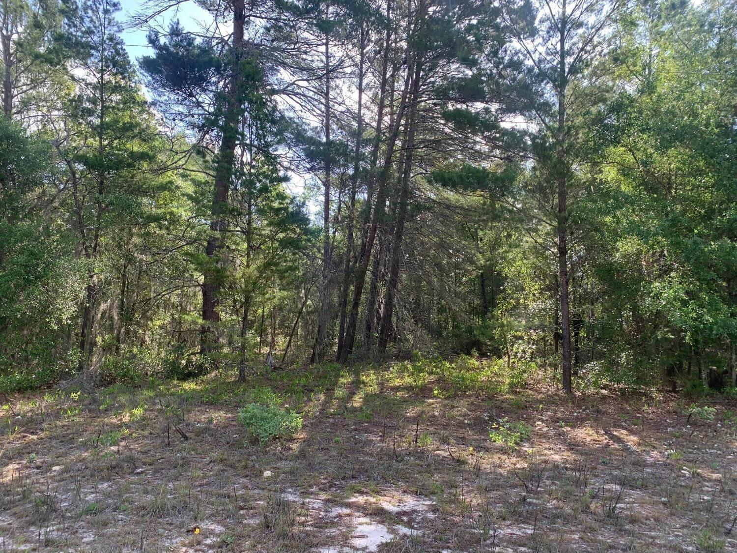 En Venta 0 Evans Avenue, Interlachen, FL 32148, Interlachen, FL 32148