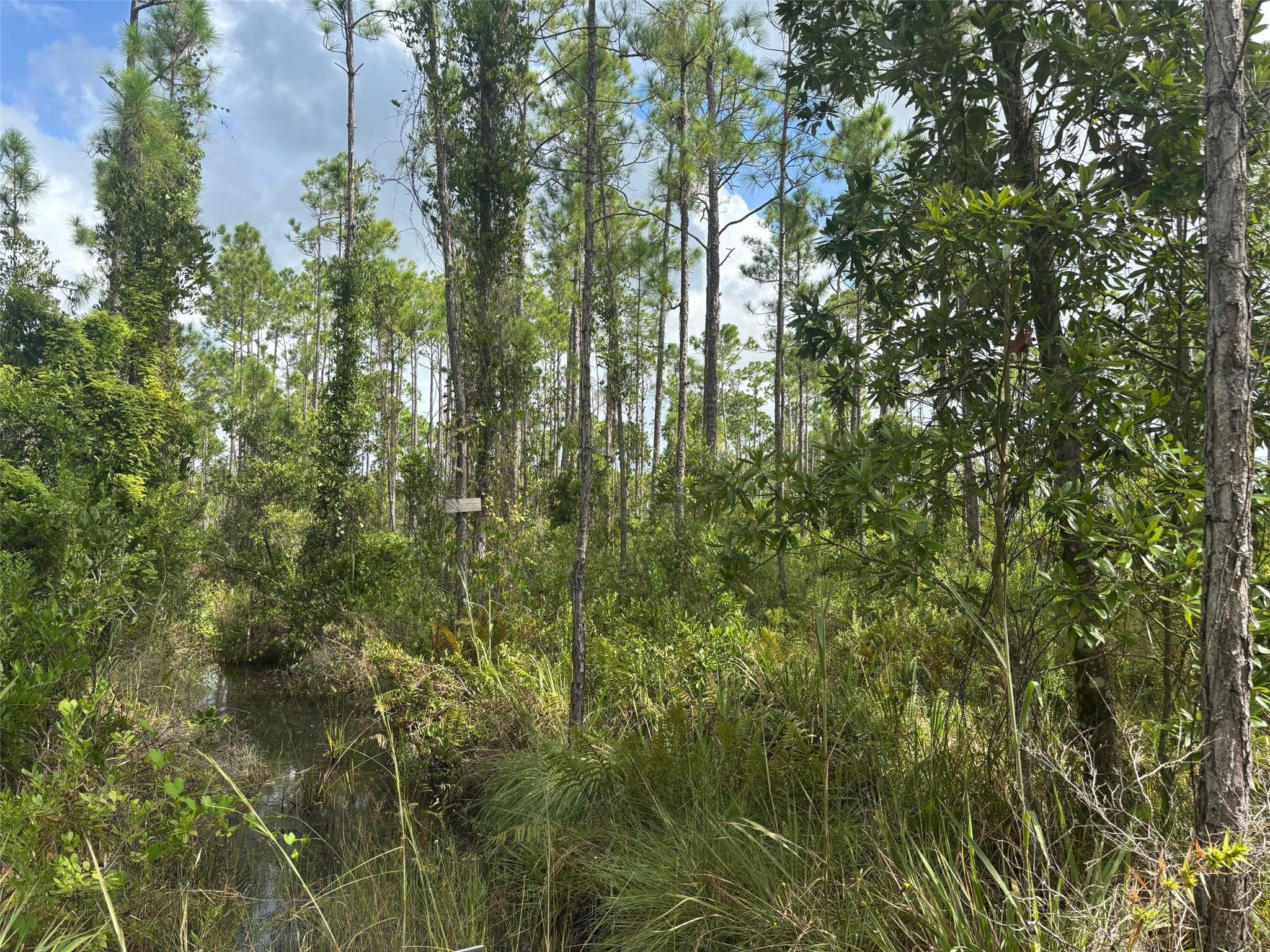 En Venta 0 Co Road, Lake Wales, FL 33898, Lake Wales, FL 33898