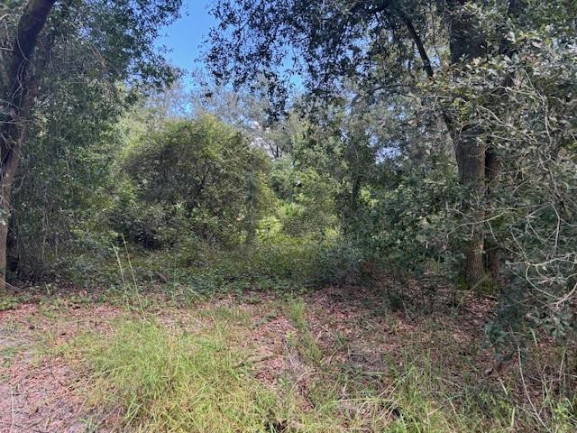Foto de propiedad en 0 County Rd 54, Kathleen, FL 33849 Kathleen con MLS# 