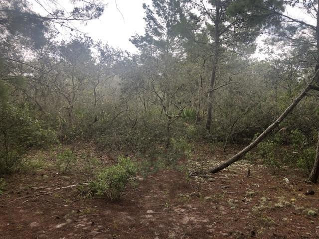 En Venta 0 Alturas Babson Park Cutoff Road, Lake Wales, FL 33859, Lake Wales, FL 33859