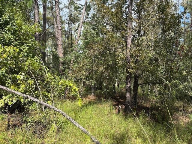 Foto de propiedad en 0 County Rd 54, Kathleen, FL 33849 Kathleen con MLS# 