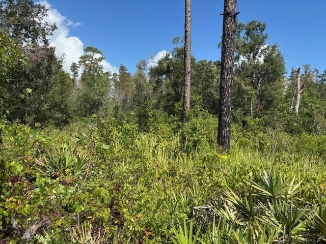 Foto de propiedad en 0 County Rd 54, Kathleen, FL 33849 Kathleen con MLS# 