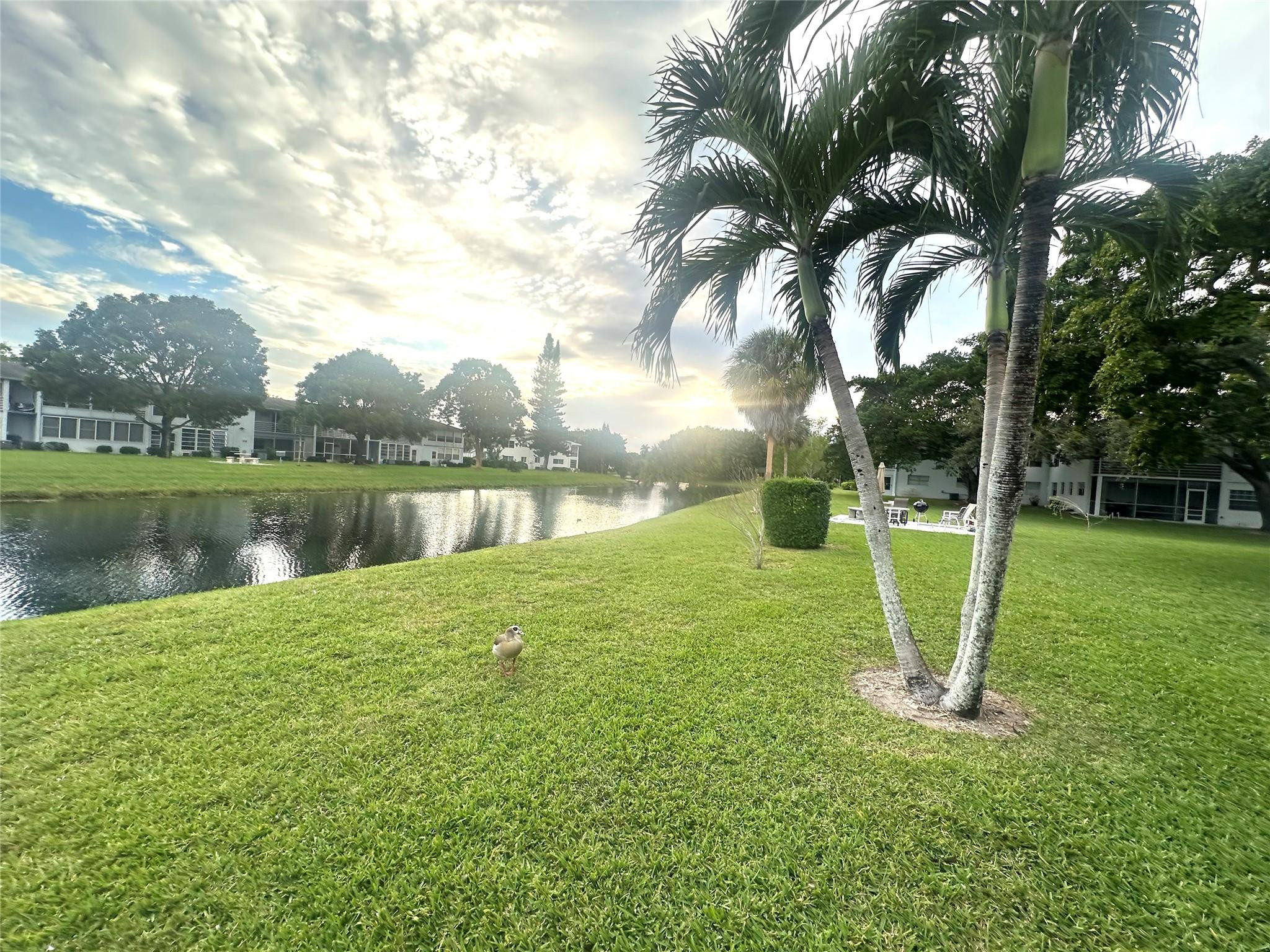 Vendido 246 Tilford L 246, Deerfield Beach, FL 33442, Deerfield Beach, FL 33442
