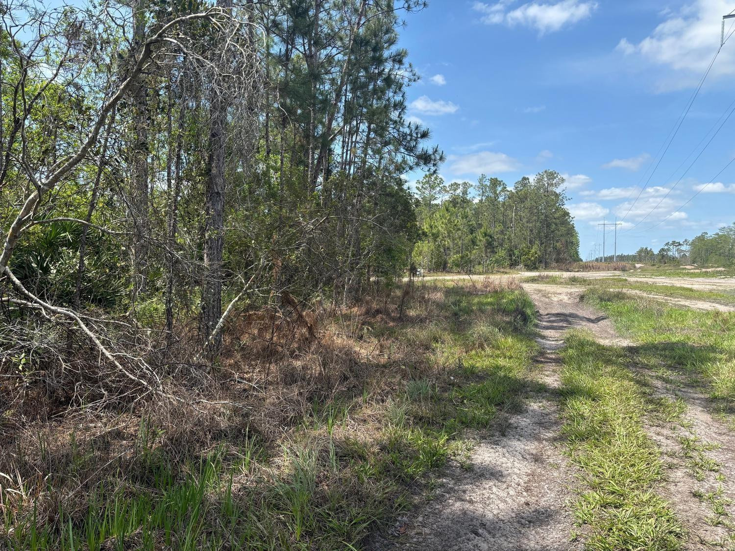 En Venta 0 Holopaw Groves Road, St. Cloud, FL 34772, St. Cloud, FL 34772