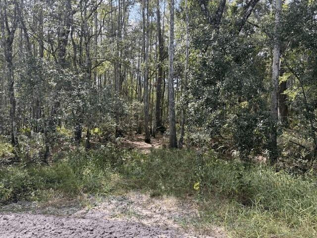 Foto de propiedad en 0 County Rd 54, Kathleen, FL 33849 Kathleen con MLS# 
