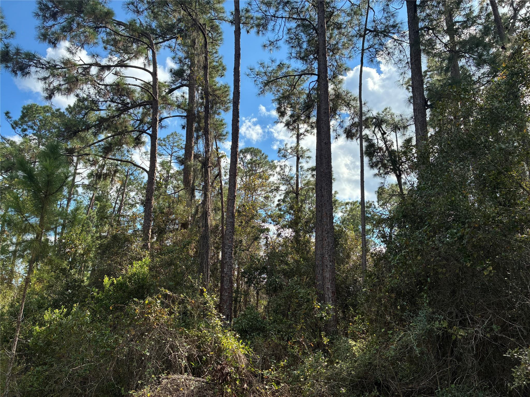 En Venta Lot 15 Park Avenue, Indian Lake Estates, FL 33855, Indian Lake Estates, FL 33855