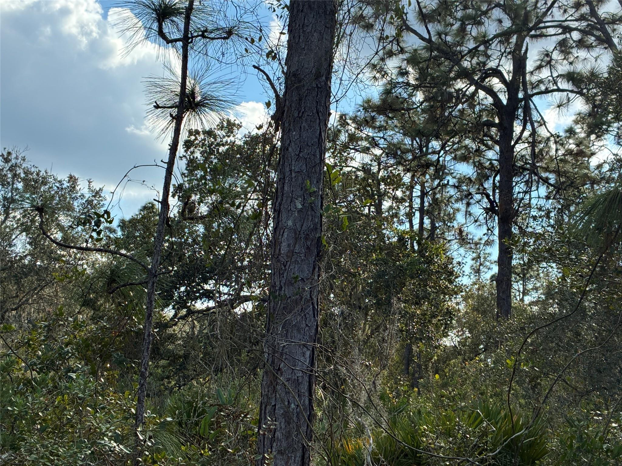 Foto de propiedad en Lot 21 & 22 Plumosa Drive, Indian Lake Estates, FL Indian Lake Estates con MLS# 