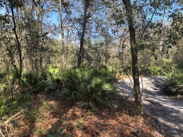 Foto de propiedad en 0 County Rd 54, Kathleen, FL 33849 Kathleen con MLS# 