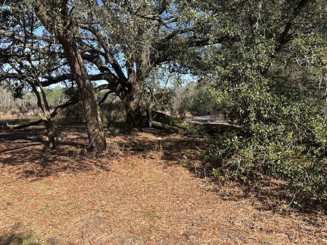 Foto de propiedad en 0 County Rd 54, Kathleen, FL 33849 Kathleen con MLS# 