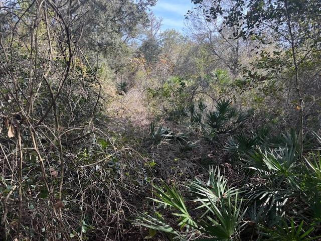Foto de propiedad en 0 County Rd 54, Kathleen, FL 33849 Kathleen con MLS# 