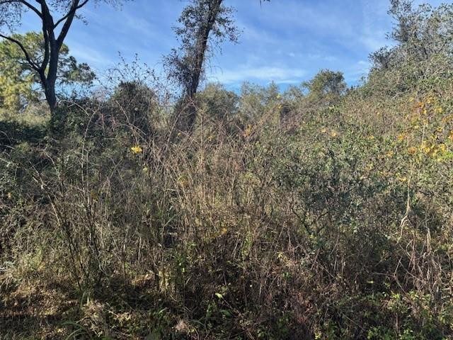 Foto de propiedad en 0 County Rd 54, Kathleen, FL 33849 Kathleen con MLS# 