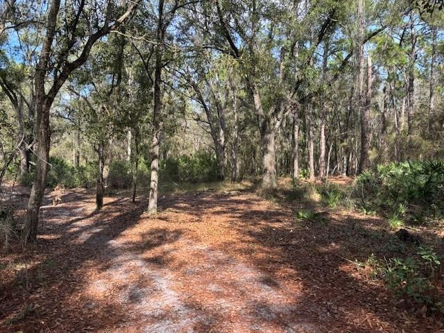 Foto de propiedad en 0 County Rd 54, Kathleen, FL 33849 Kathleen con MLS# 
