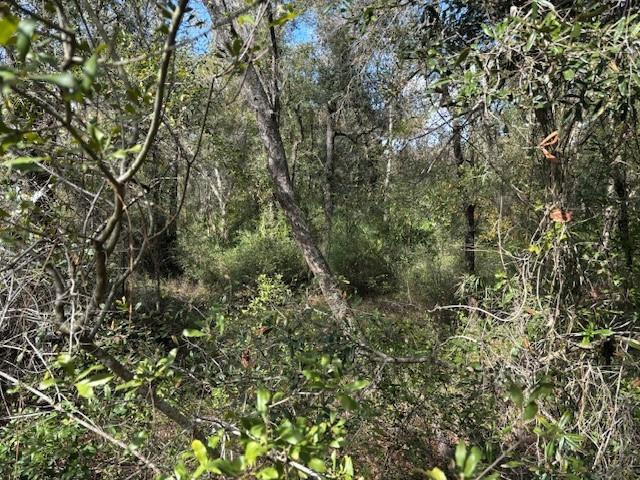 Foto de propiedad en 0 County Rd 54, Kathleen, FL 33849 Kathleen con MLS# 
