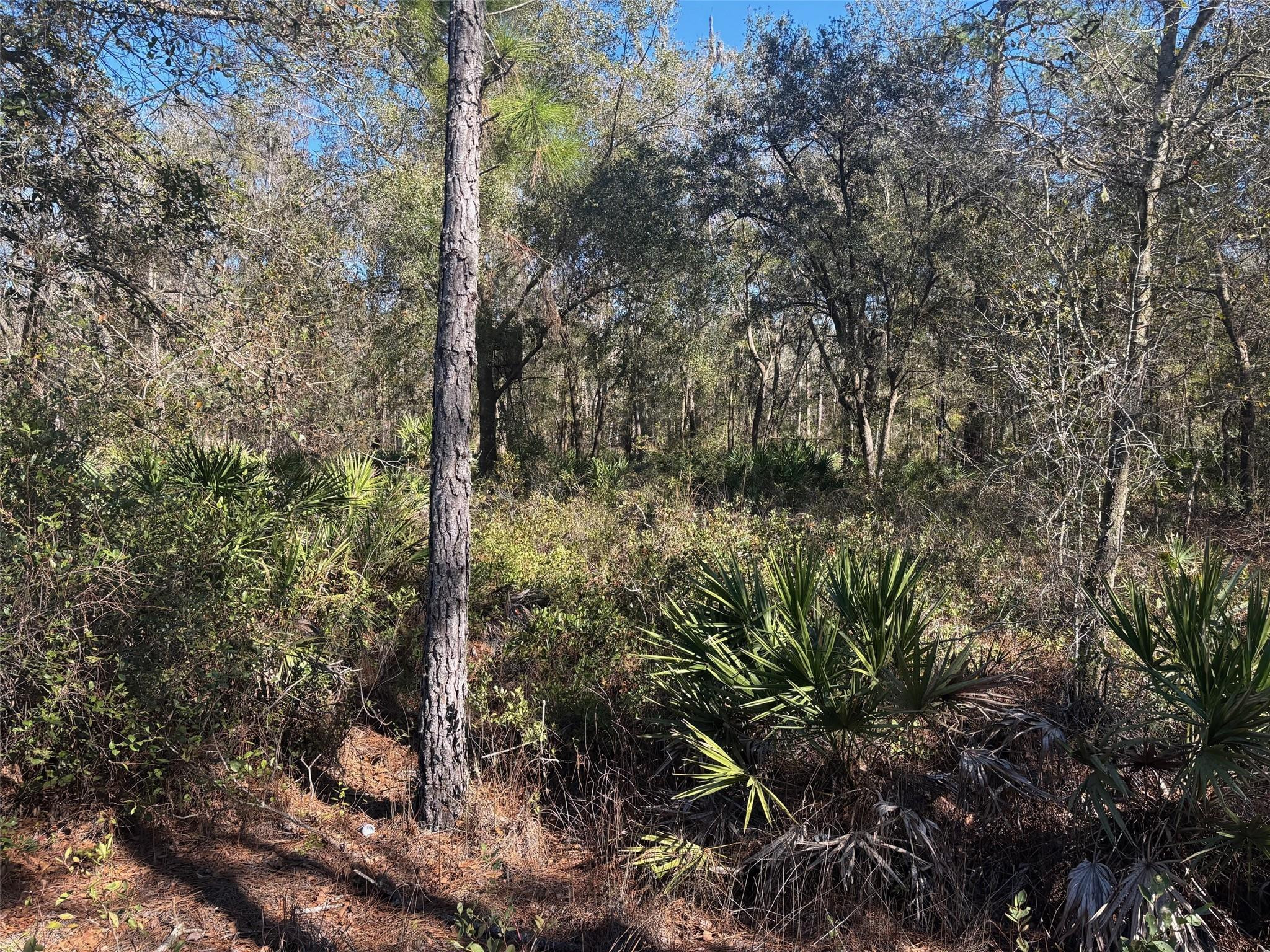 Foto de propiedad en 0 County Rd 54, Kathleen, FL 33849 Kathleen con MLS# 