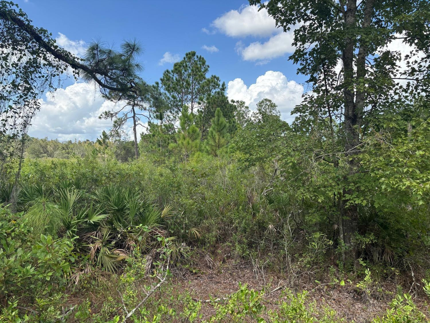 Foto de propiedad en 0 County Rd 54, Kathleen, FL 33849 Kathleen con MLS# 