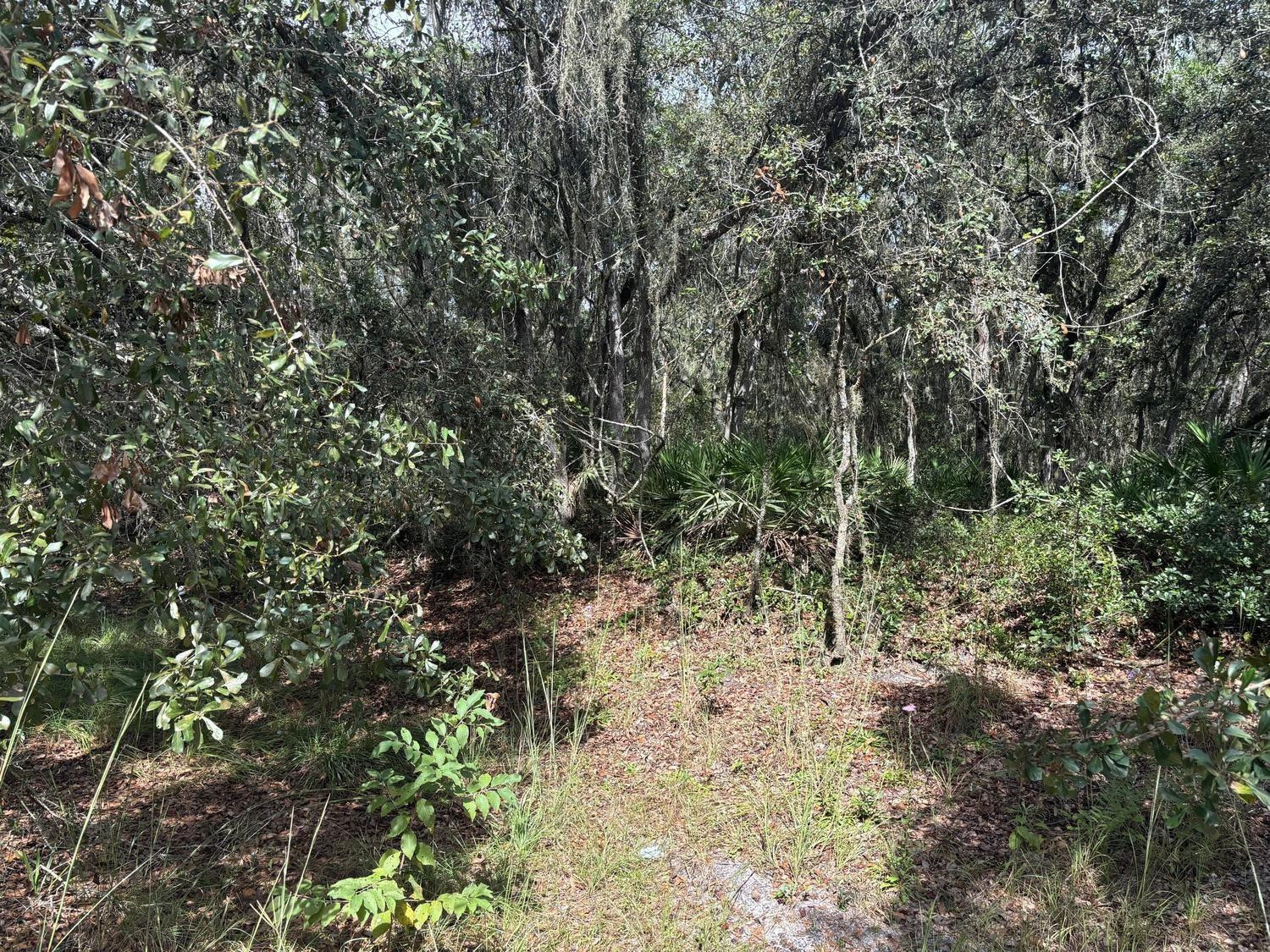 Foto de propiedad en 0 County Rd 54, Kathleen, FL 33849 Kathleen con MLS# 