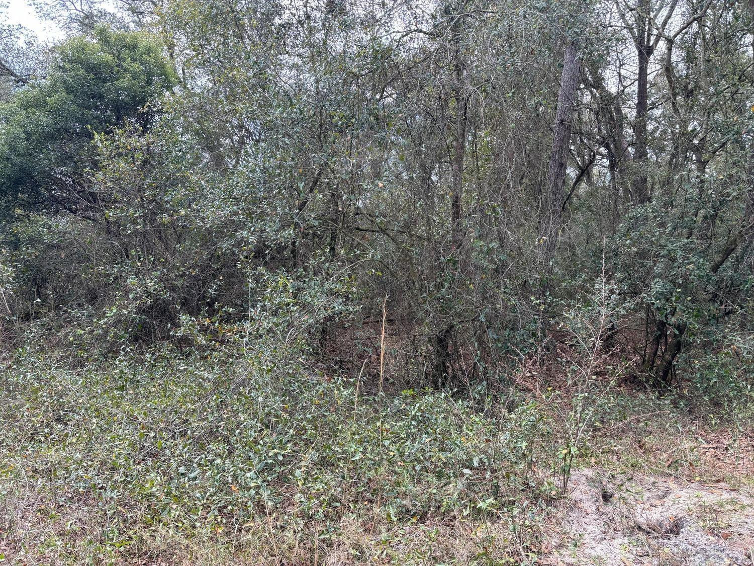 Foto de propiedad en 0 County Rd 54, Kathleen, FL 33849 Kathleen con MLS# 