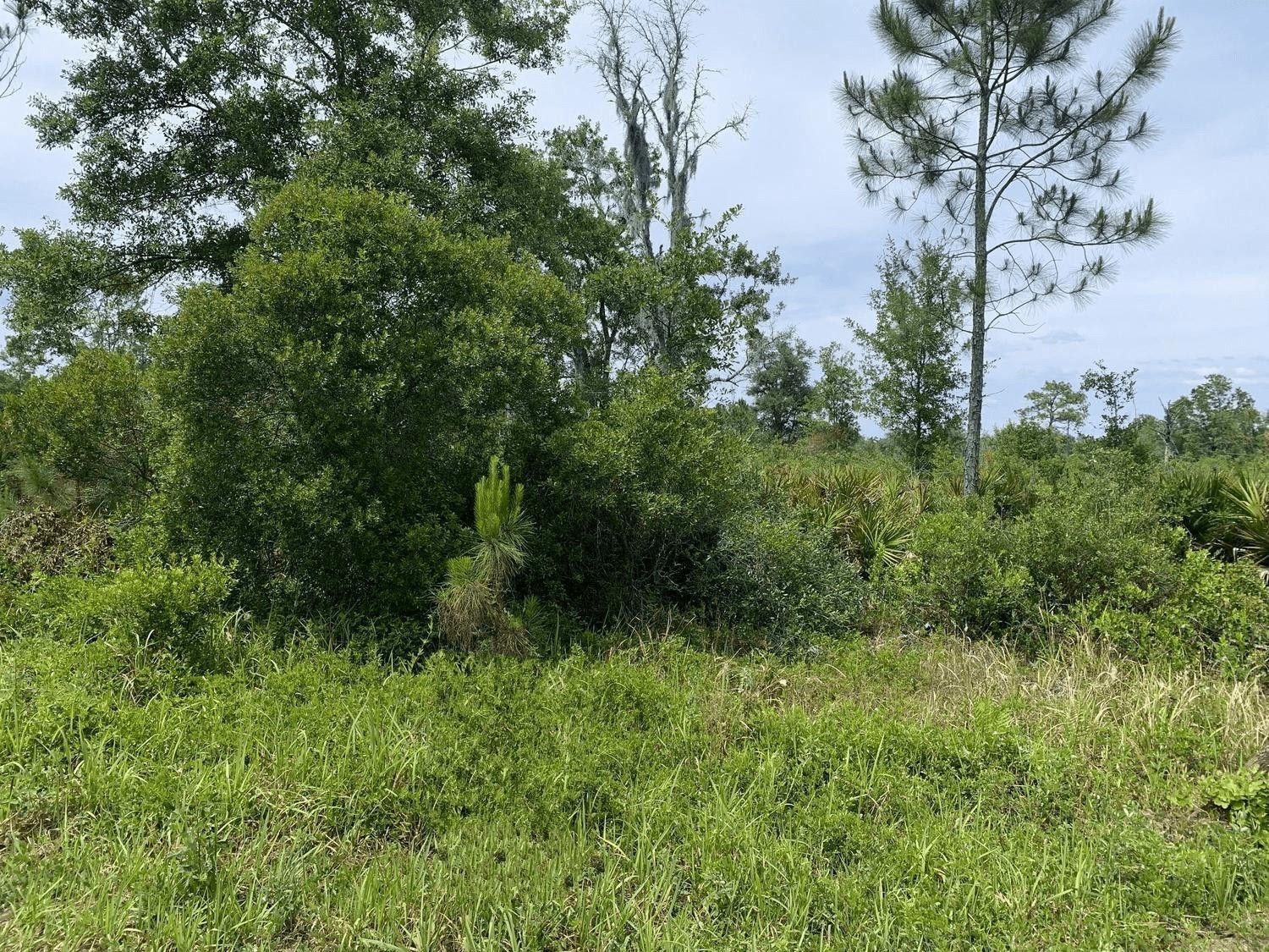 Foto de propiedad en 0 County Rd 54, Kathleen, FL 33849 Kathleen con MLS# 