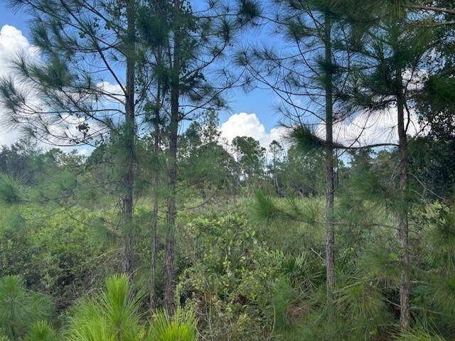 Foto de propiedad en 0 County Rd 54, Kathleen, FL 33849 Kathleen con MLS# 