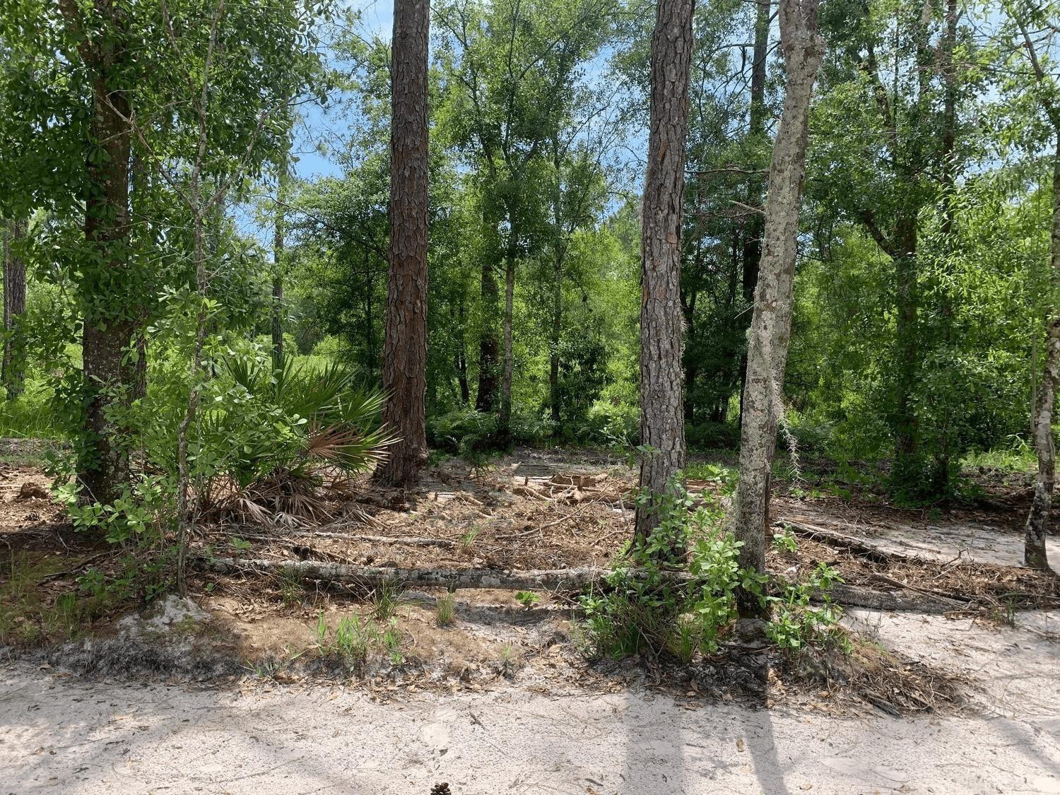 Foto de propiedad en 0 County Rd 54, Kathleen, FL 33849 Kathleen con MLS# 