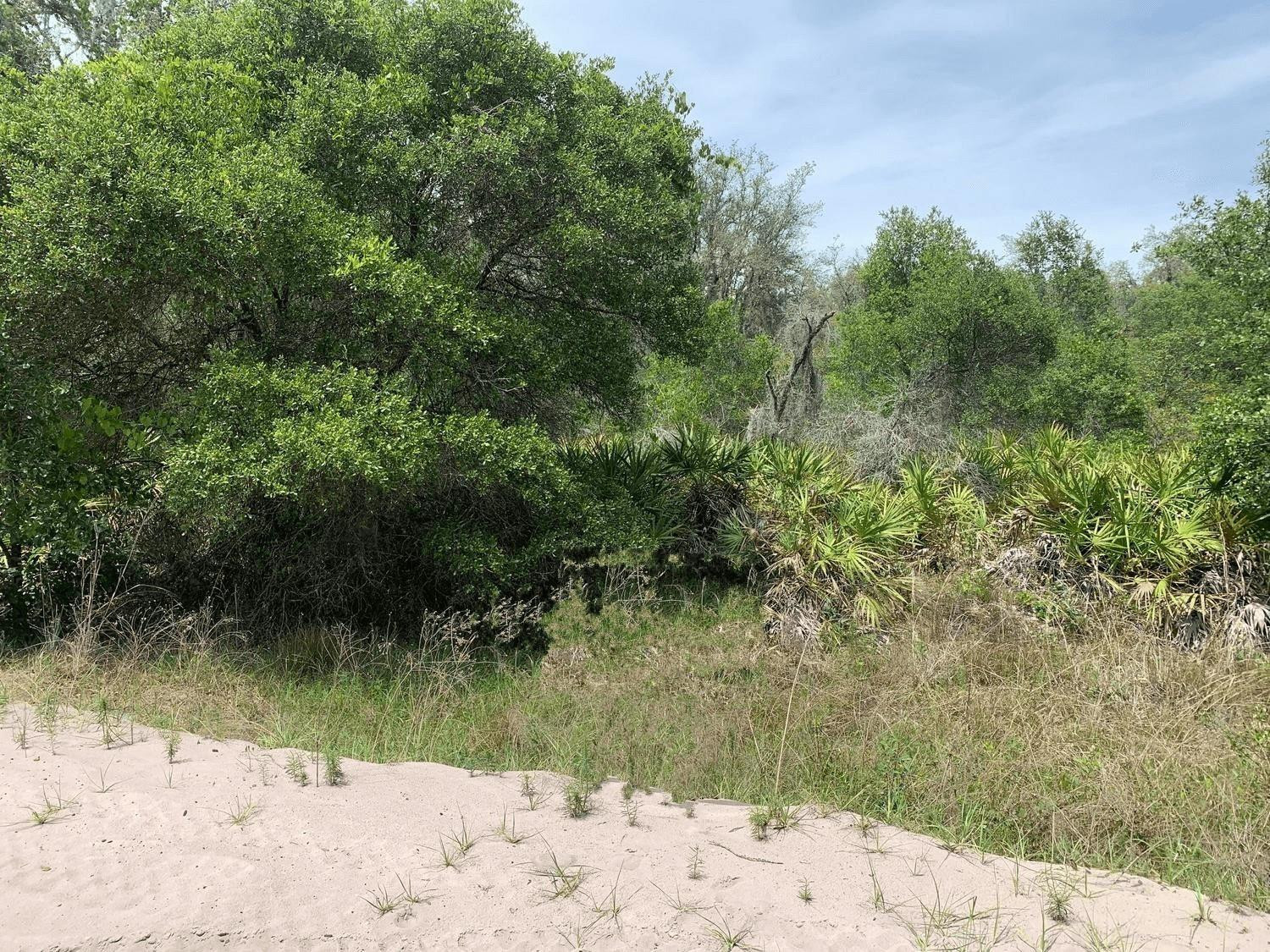 Foto de propiedad en 0 County Rd 54, Kathleen, FL 33849 Kathleen con MLS# 