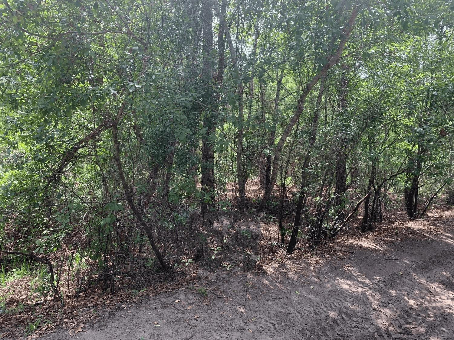 Foto de propiedad en 0 County Rd 54, Kathleen, FL 33849 Kathleen con MLS# 