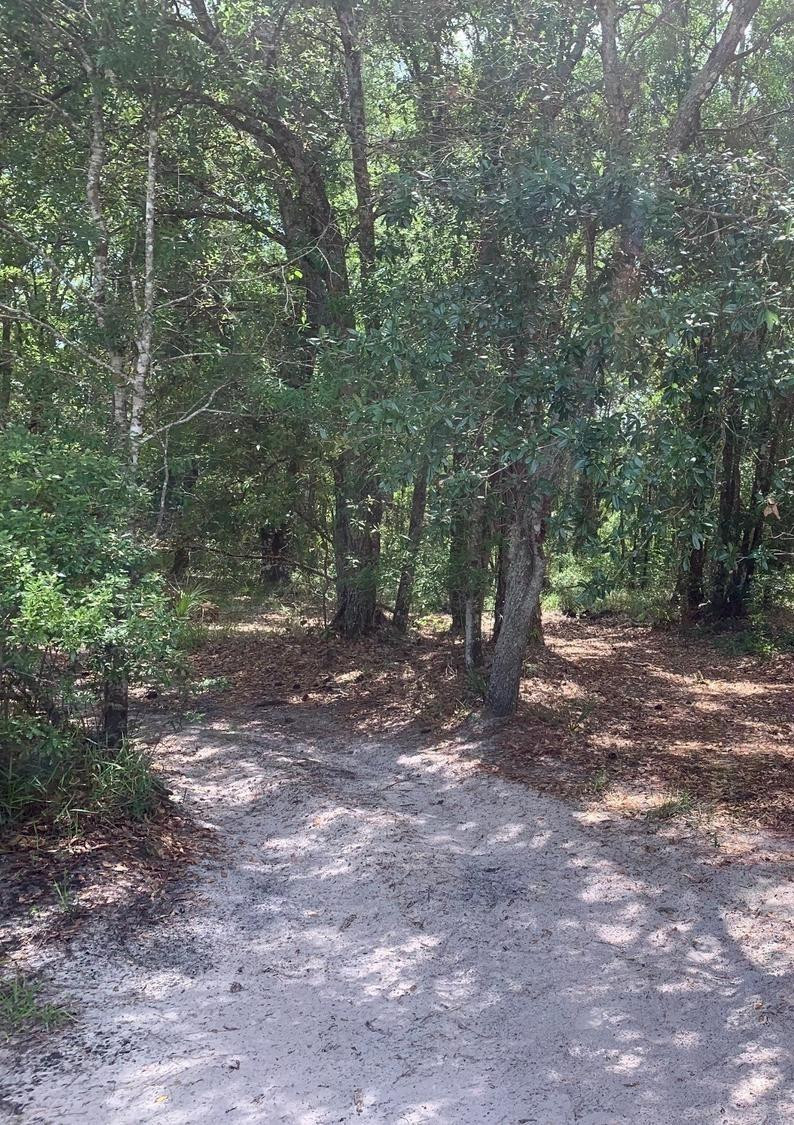 Foto de propiedad en 0 County Rd 54, Kathleen, FL 33849 Kathleen con MLS# 