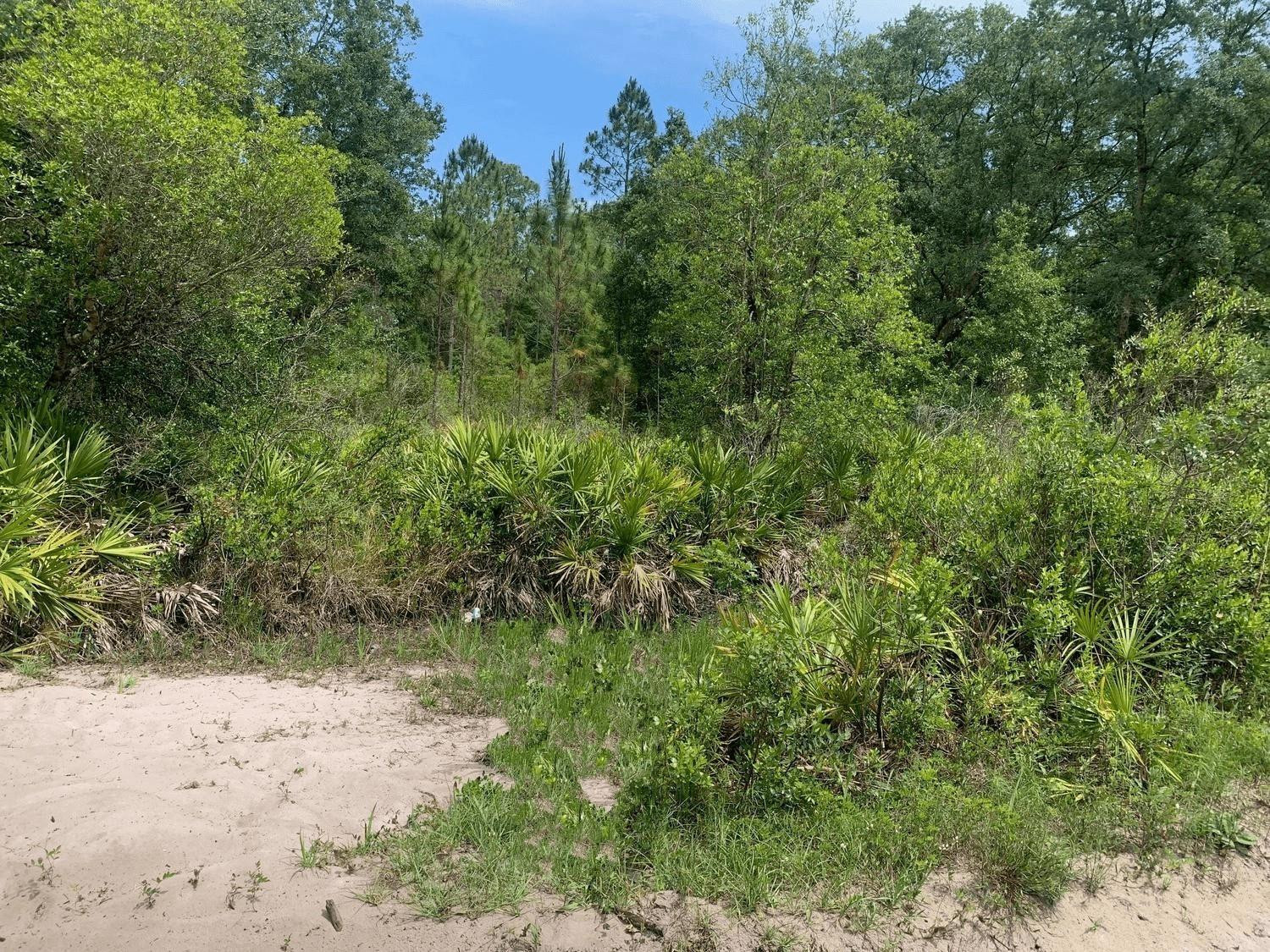 Foto de propiedad en 0 County Rd 54, Kathleen, FL 33849 Kathleen con MLS# 