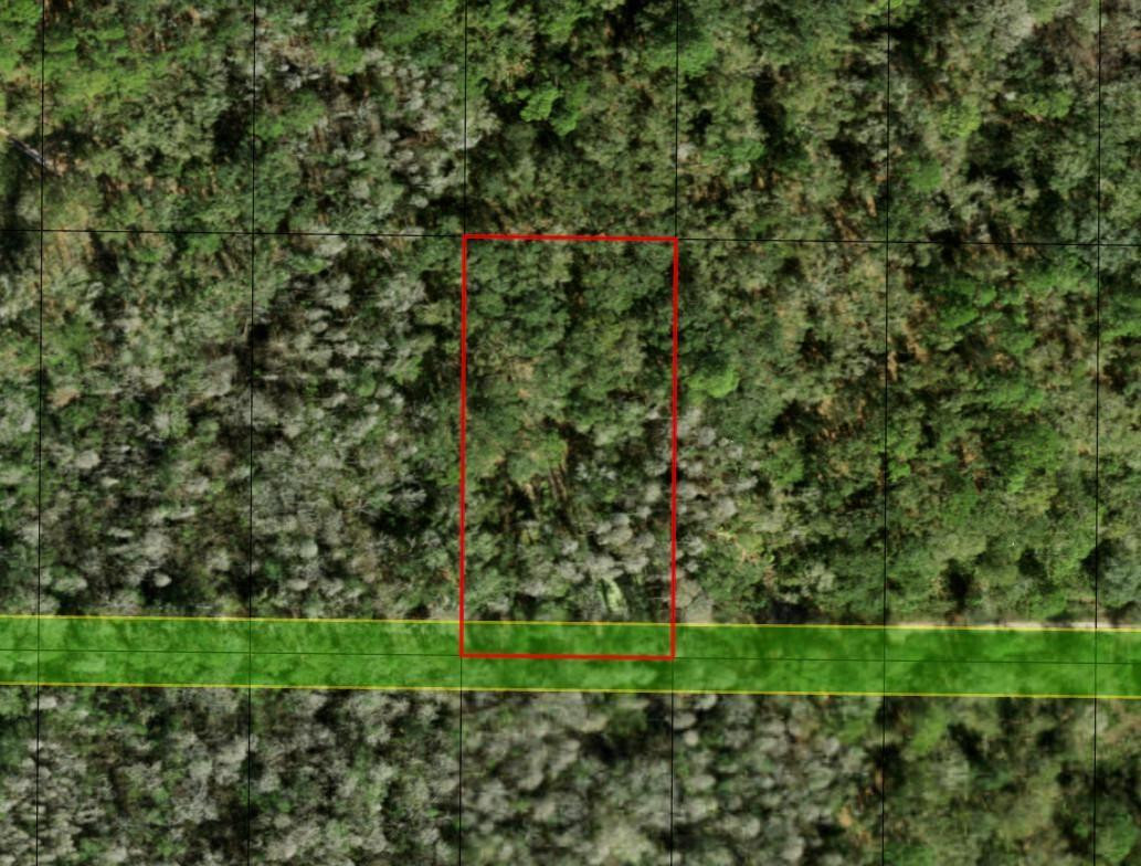 En Venta 0 County Rd 54, Kathleen, FL 33849, Kathleen, FL 33849