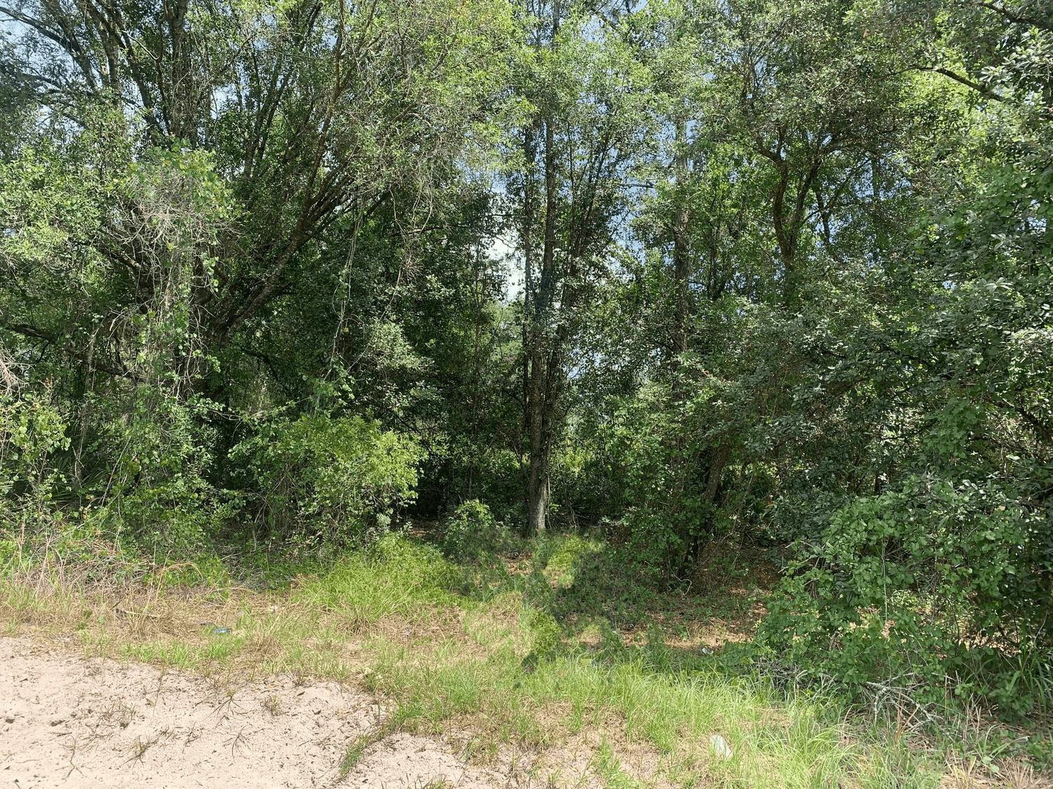 En Venta 0 County Rd 54, Kathleen, FL 33849, Kathleen, FL 33849