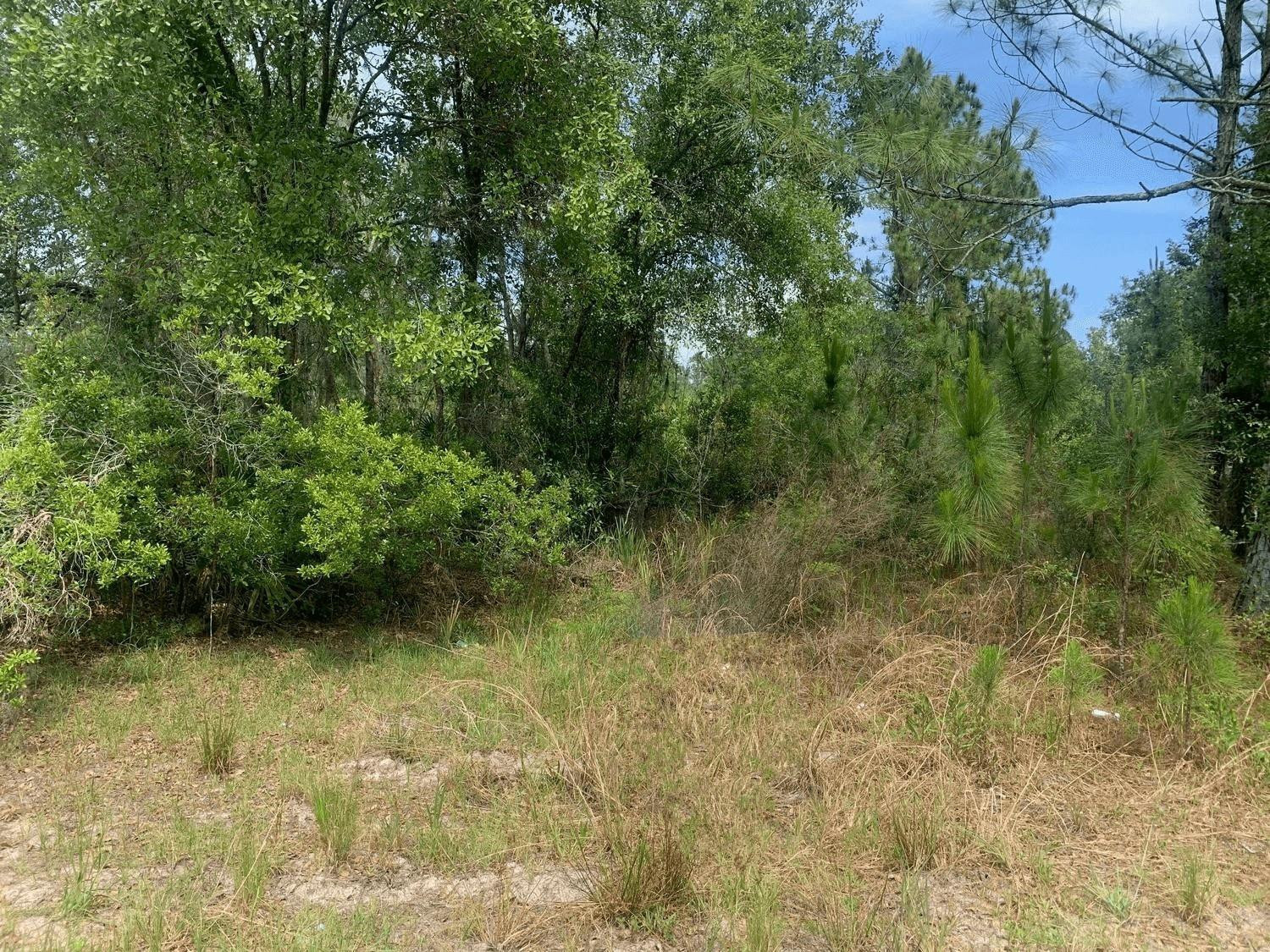 En Venta 0 County Rd 54, Kathleen, FL 33849, Kathleen, FL 33849