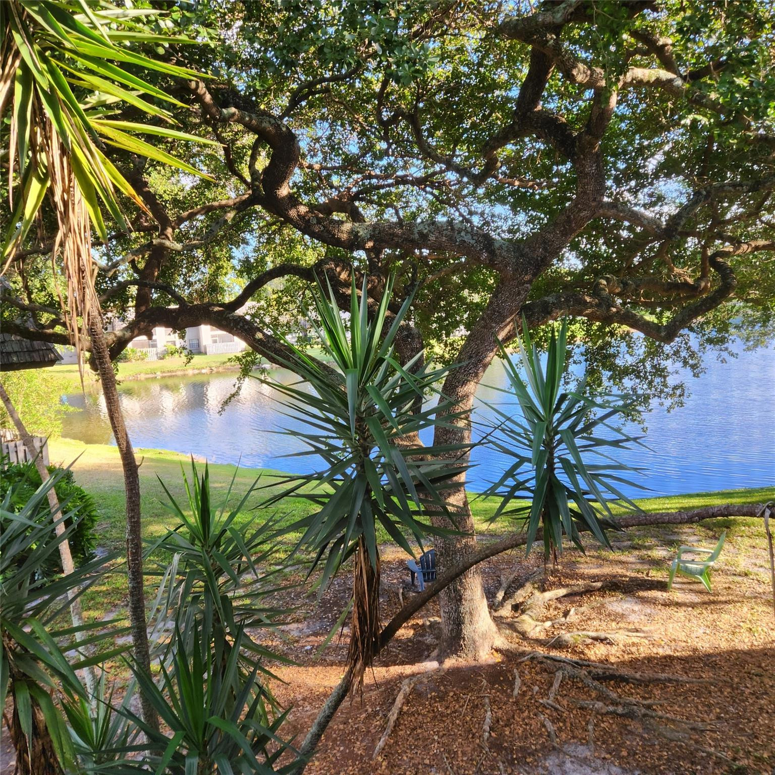 Foto de propiedad en 3634 NW 95th Terrace 3634, Sunrise, FL 33351 Sunrise con MLS# 