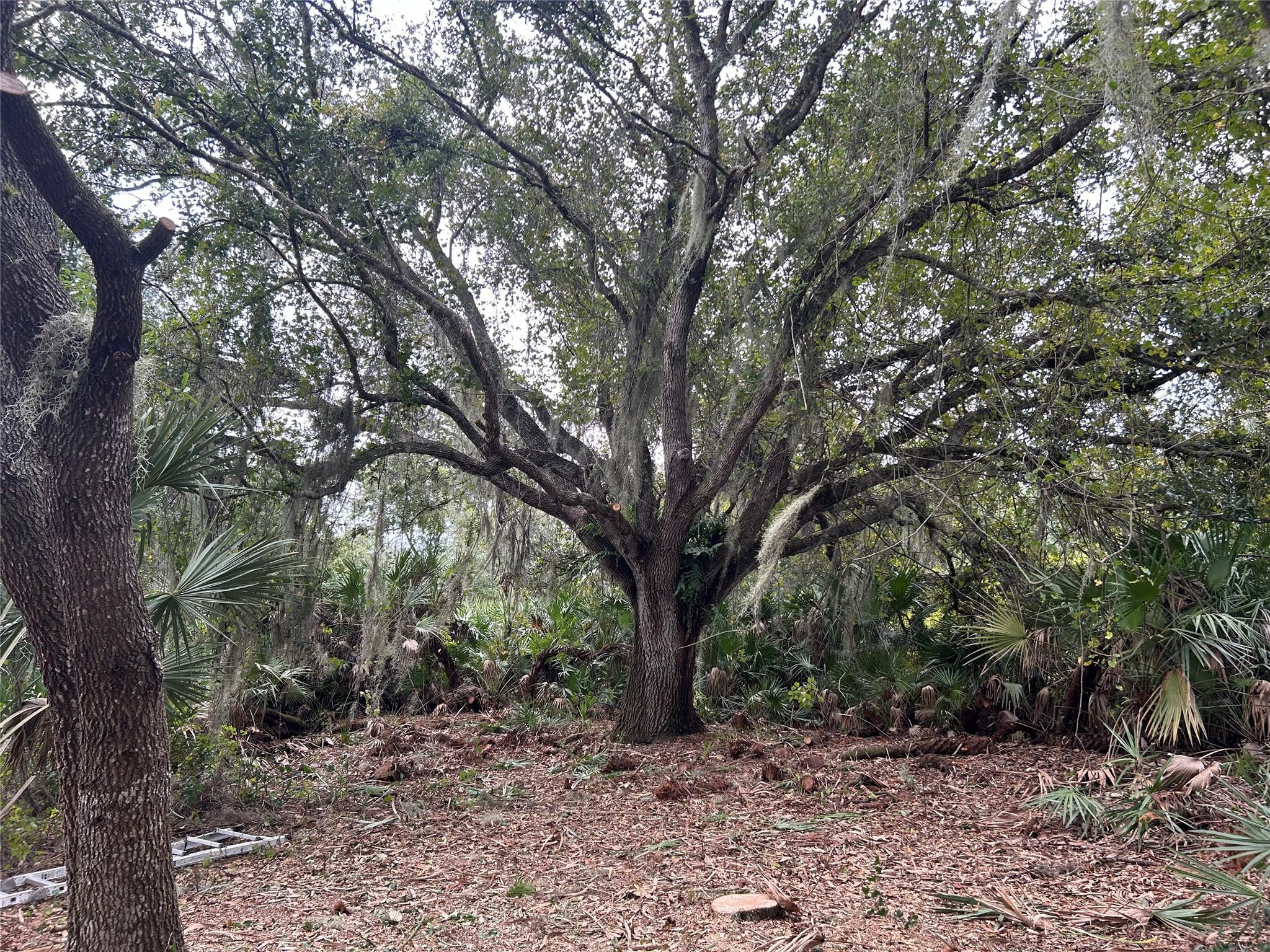 En Venta 0 298th Street, Okeechobee, FL 34972, Okeechobee, FL 34972