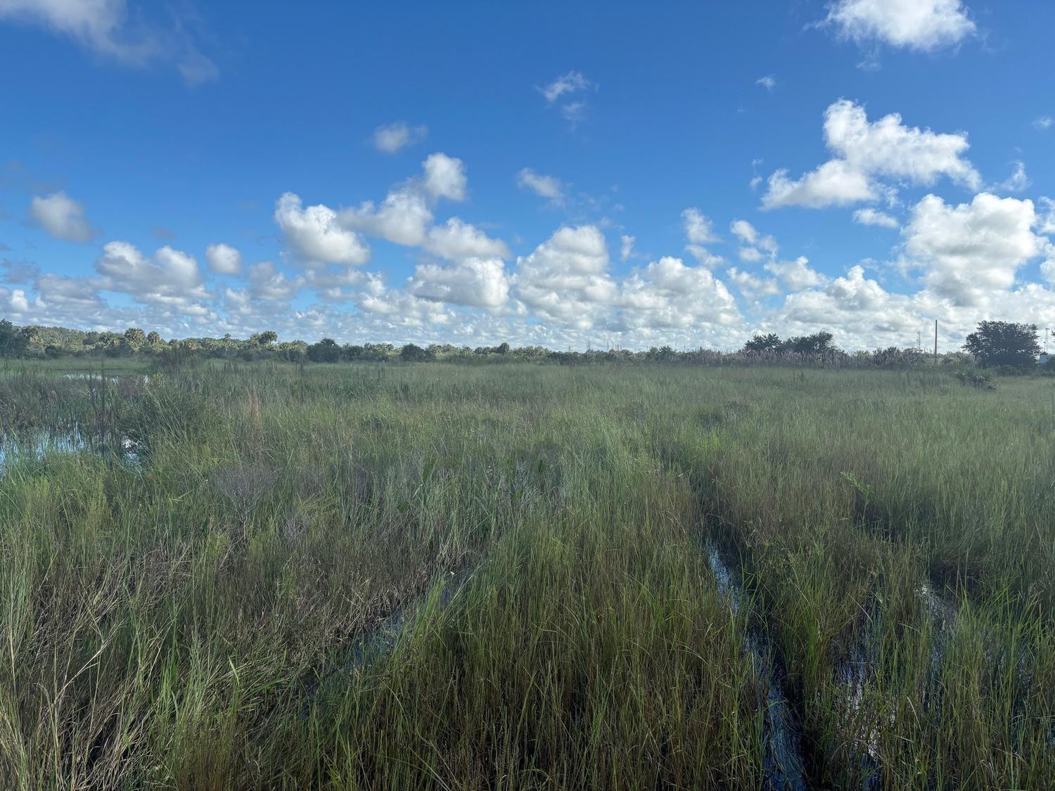 En Venta 0 NW 306th Street, Okeechobee, FL 34972, Okeechobee, FL 34972