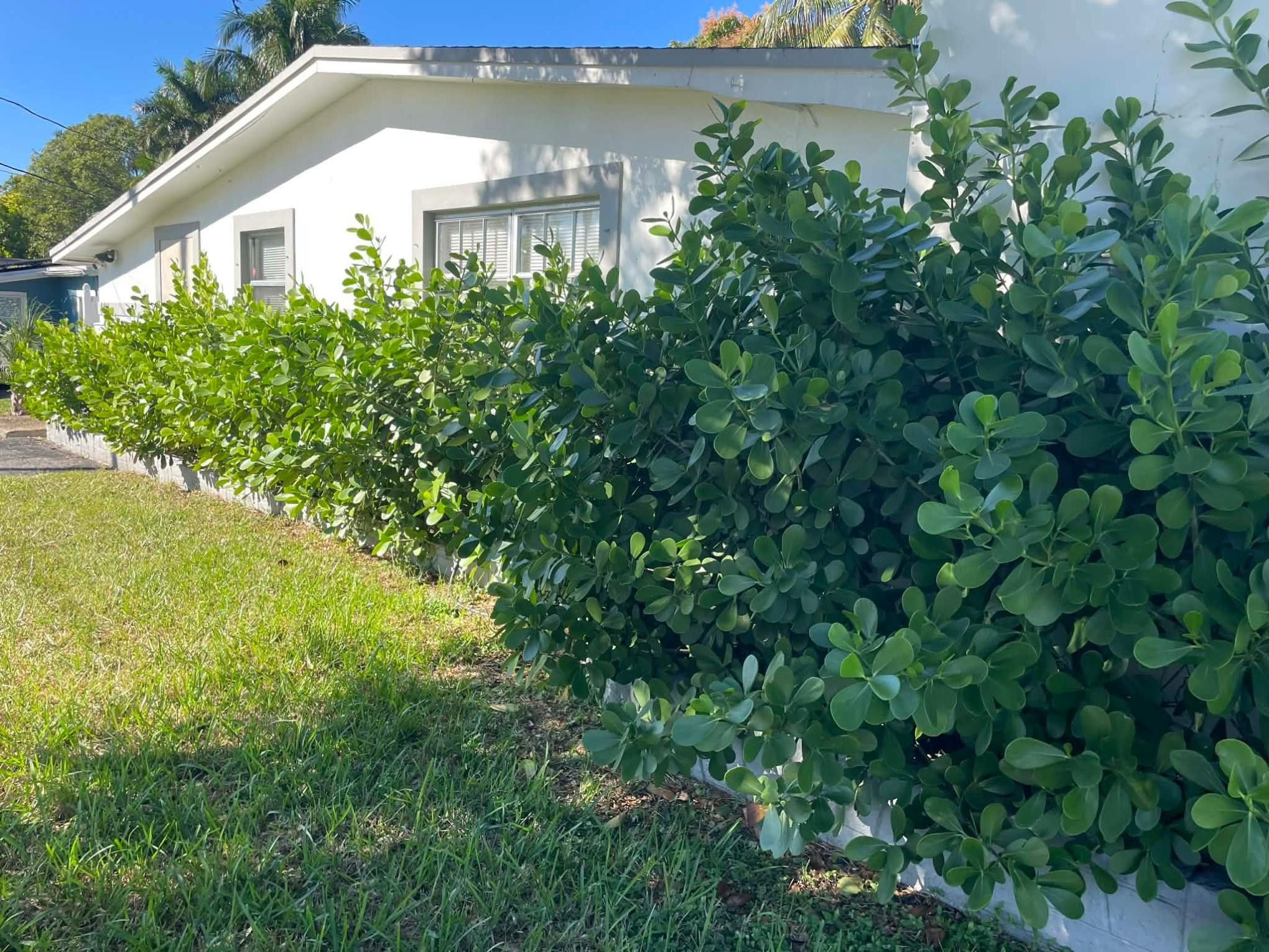 Foto de propiedad en 4421 NW 34th Court, Lauderdale Lakes, FL 33319 Lauderdale Lakes con MLS# 