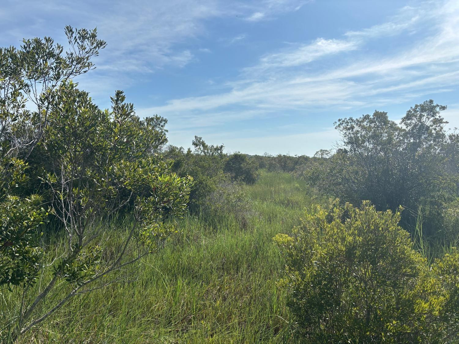 En Venta 0 NW 308th Street, Okeechobee, FL 34972, Okeechobee, FL 34972