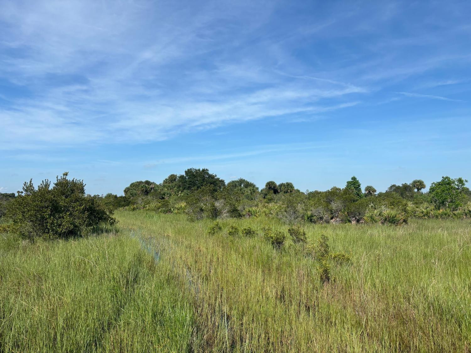 En Venta 0 NW 308th Street, Okeechobee, FL 34972, Okeechobee, FL 34972