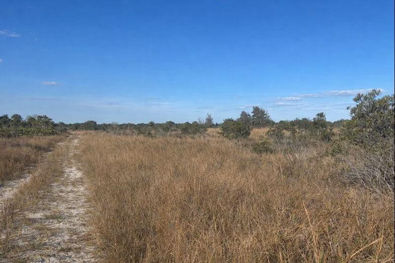En Venta 0 NW 290th Street, Okeechobee, FL 34972, Okeechobee, FL 34972
