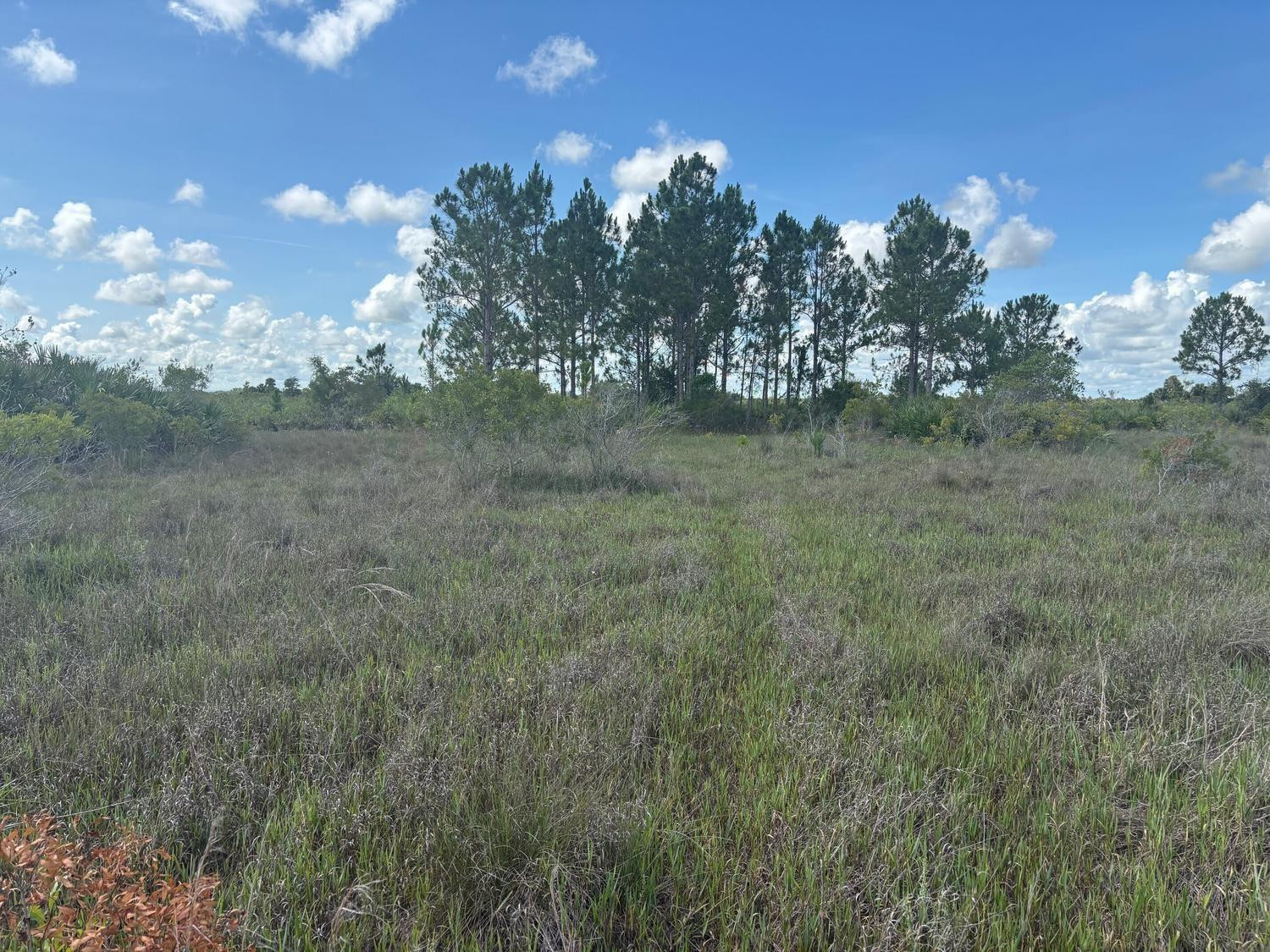 En Venta 0 290th Street, Okeechobee, FL 34972, Okeechobee, FL 34972